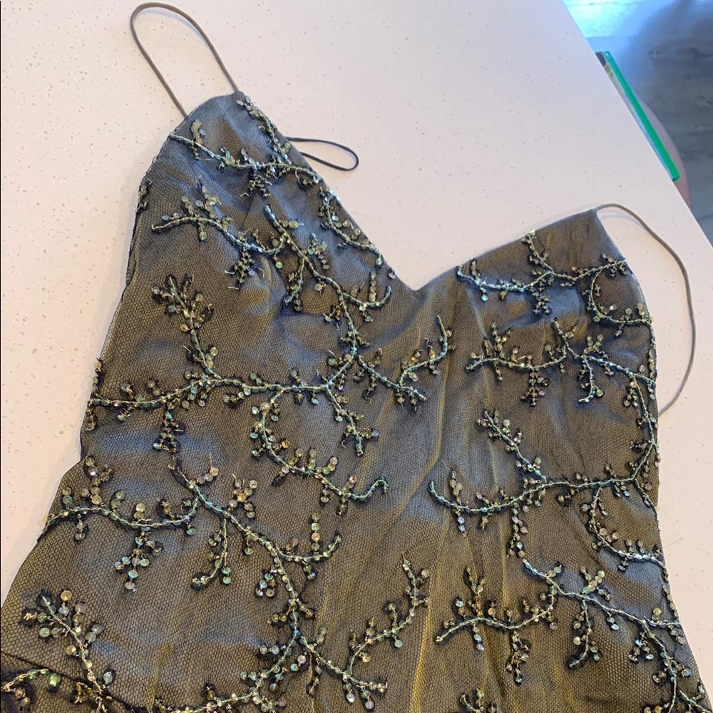 Elizabeth Fillmore Gown